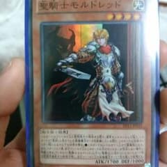 聖騎士モルドレッドのサムネイル