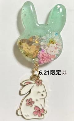 6.21限定♥うさぎレジンヘアゴムブローチ - メルカリ