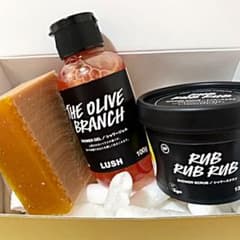 【ハムのすけ様専用】LUSH ギフト オールザベストのサムネイル