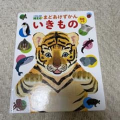 まどあけずかん　いきもの  英語つき　小学館NEOのサムネイル