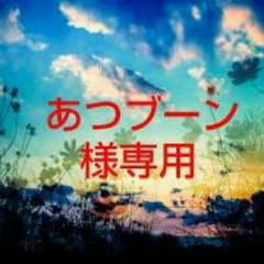 あつブーン様専用  空手防具のサムネイル