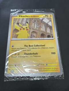 Pikachu at the Museum ピカチュウ ロンドン自然史博物館30 - メルカリ