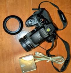 超望遠30倍】FUJIFILM FinePix HS10 ネオ一眼 動作確認済 - メルカリ
