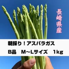 長崎県産 アスパラガス 1kgのサムネイル