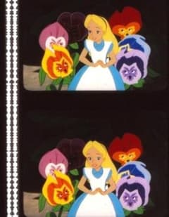 신비한 나라의 앨리스 35mm 필름 연속 5컷 루이스 캐롤 디즈니
