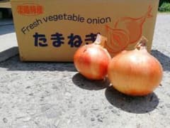 淡路島玉ねぎ 10kg 冷蔵秀品カルシウム入り肥料使用（南あわじ市産）のサムネイル