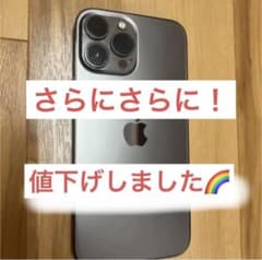 iPhone13ProMax 258GB(即日発送)のサムネイル
