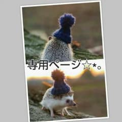 【ちゃー様 専用出品】のサムネイル
