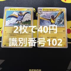 カイデン タイカイデン 2枚セット 識別番号102のサムネイル