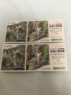 ズーラシア　招待券×2のサムネイル