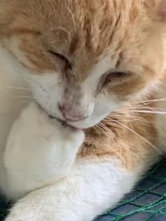 イブたま専用ページ♡のサムネイル