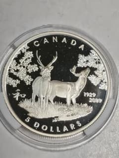 hab024 カナダ 5ドル 銀貨 1929-2009年日加修好80年 - メルカリ
