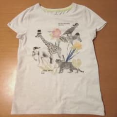 アニマルプリント 半袖Tシャツのサムネイル