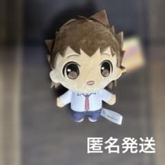 가정 교사 히트맨 리본 푸치슈 사와다 츠나요시