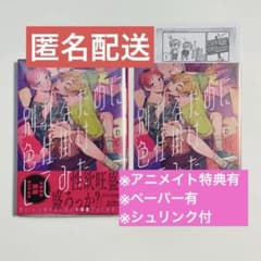 別れるために色仕掛けしてみた」わじ アニメイト限定4Pリーフレット