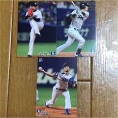 プロ野球チップスカード ドラゴンズのサムネイル