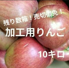 ✨️りんご訳あり加工用✨️箱込み10キロ以上！のサムネイル