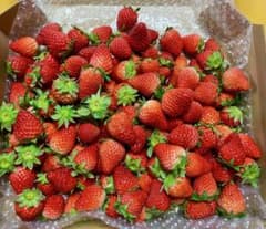 佐賀のいちごさん、秀品小粒1kg全込みのサムネイル