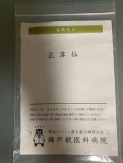正茸仙 21日分のサムネイル