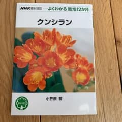 クンシランのサムネイル