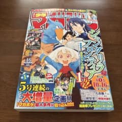 週刊少年マガジン 2020年46号 シャングリラ・フロンティア - メルカリ