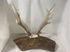ハンドメイド？鹿の角の置物のサムネイル