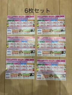 6枚セットレオマサマーキャンペーン特別ご優待券のサムネイル