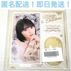 엔도 사쿠라 노기자카 아크릴 스탠드 크리스마스 Christmas ①
