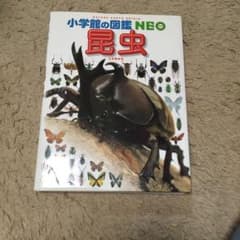 昆虫のサムネイル