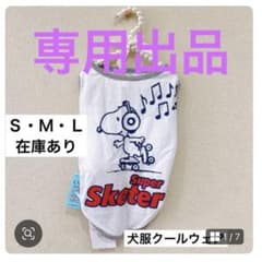 ぷりりんさん専用　4号のサムネイル