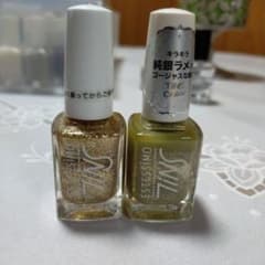 ESTESSIMO TiNS ネイルカラー 2本セットのサムネイル