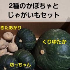 北海道産　2種のかぼちゃとじゃがいもセットのサムネイル
