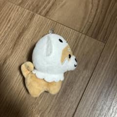 犬のアイスクリーム帽子マスコット　函館のサムネイル