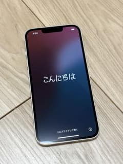 Melcarer様　専用　Apple iPhone 14 256GBのサムネイル