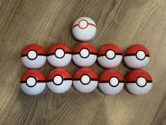 モンスターボール10個 プレミアボール1個 ポケパークカントー限定