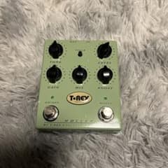 T-REX MOLLERのサムネイル