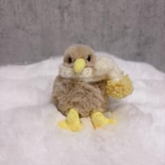 キーウィ（ゲリラ出品）のサムネイル