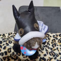 AVANTI製 馬服アーモンドアイ号ぬいぐるみ AVANTI製 馬服アーモンドアイ号ぬいぐるみ - メルカリ