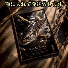ヤマメ 山女魚 渓流釣り 限定！コレクター必見の額入りポスター - メルカリ