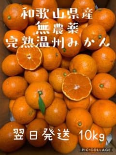 無農薬　和歌山県産　温州みかん（箱込10kg）のサムネイル