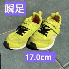 瞬足　17.0cmのサムネイル