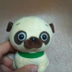 パグのサムネイル