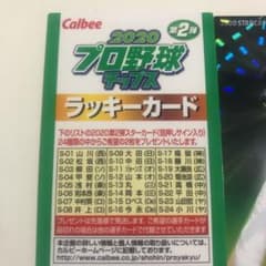 2020 プロ野球チップス ラッキーカードのサムネイル