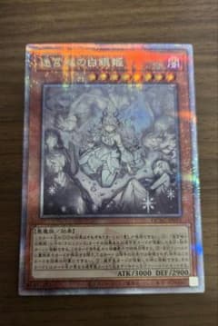 迷宮城の白銀姫 絵違い(レディ・オブ・ラビュリンス)25th クオシク 迷宮城の白銀姫 絵違い(レディ・オブ・ラビュリンス)25th クオシク