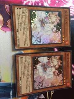 灰流うらら 2枚セット 1枚はキズあり 遊戯王のサムネイル