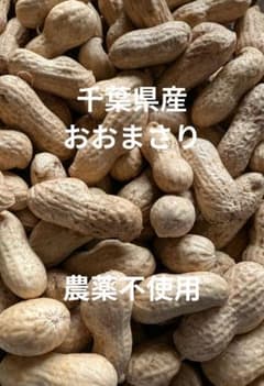 千葉県産　農薬不使用　おおまさり　1㌔のサムネイル