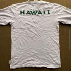 HAWAII大学　長袖　Mのサムネイル