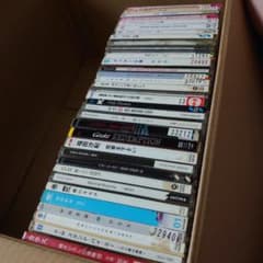 m33550064334_1.jpg?1719483819