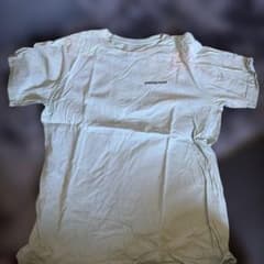 patagonia パタゴニア Tシャツ ライトグリーンのサムネイル