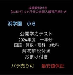 浜学園 小6 公開テスト 国算理 3教科 解答解説・おまけ付き 2024年度版